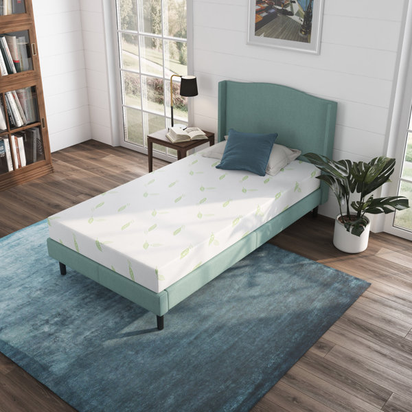 Nap Queen Anula Green Tea 6'' Medium Memory Foam Mattress Wayfair Canada